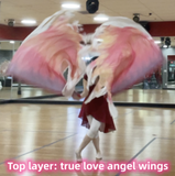 真愛天使翼 True Love Angel Wings 〔下單後製作約2-3週後寄出〕